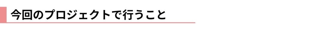 今回のプロジェクトで行なうこと