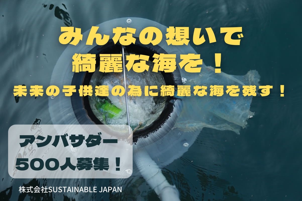 未来の子供達に綺麗な海を残したい！ SEABINを広めるアンバサダー