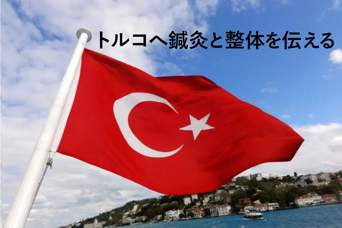 トルコへ鍼灸と整体を伝える