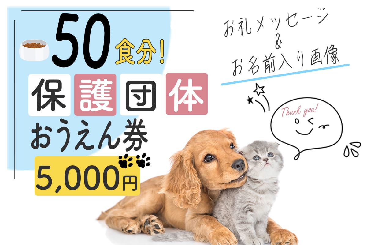 第3弾】小さな命を救いたい！犬猫保護団体おうえんプロジェクト