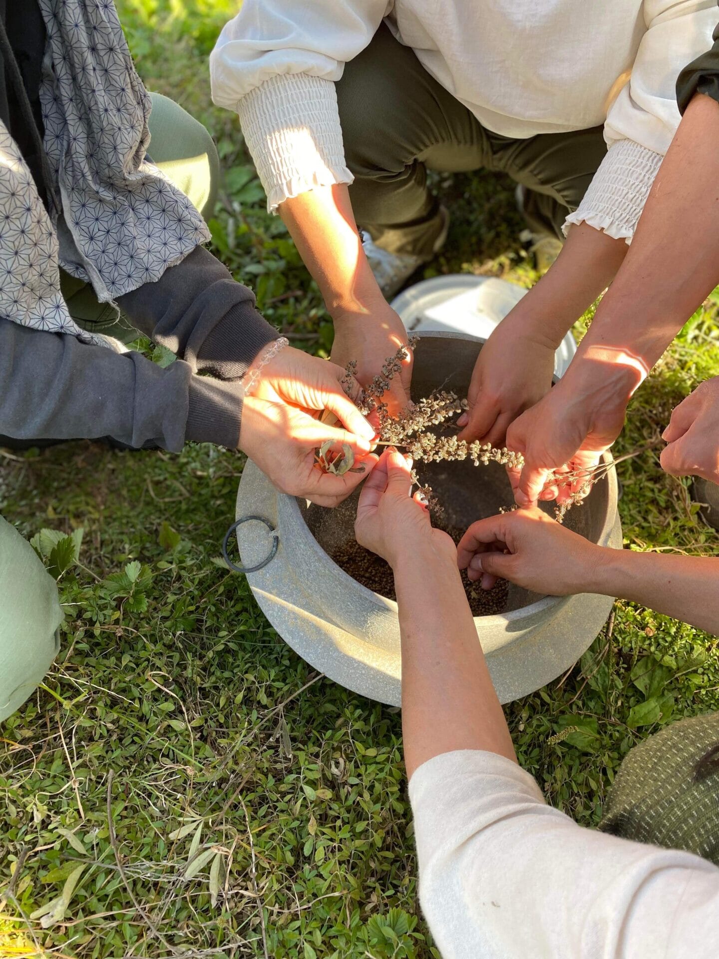 自然療法が大好きになる本を出版したい！ すこやかに〝今〟を生きて