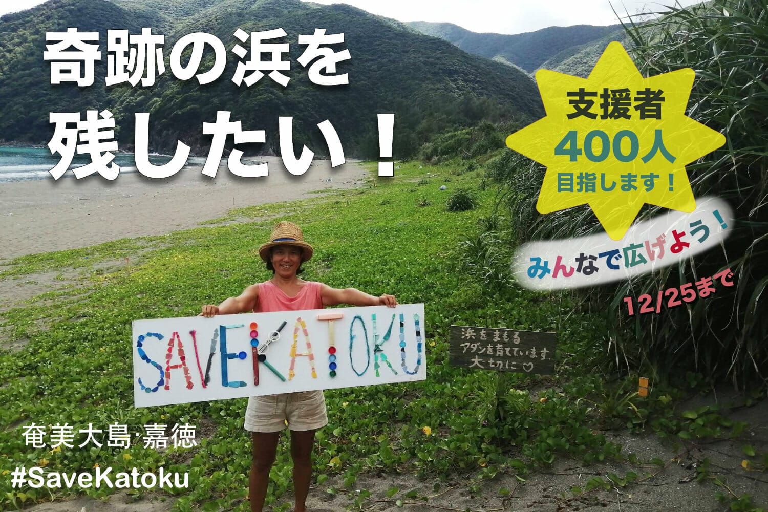 奄美大島・カトクジュラシックビーチの危機！護岸工事の見直しを求めよう！