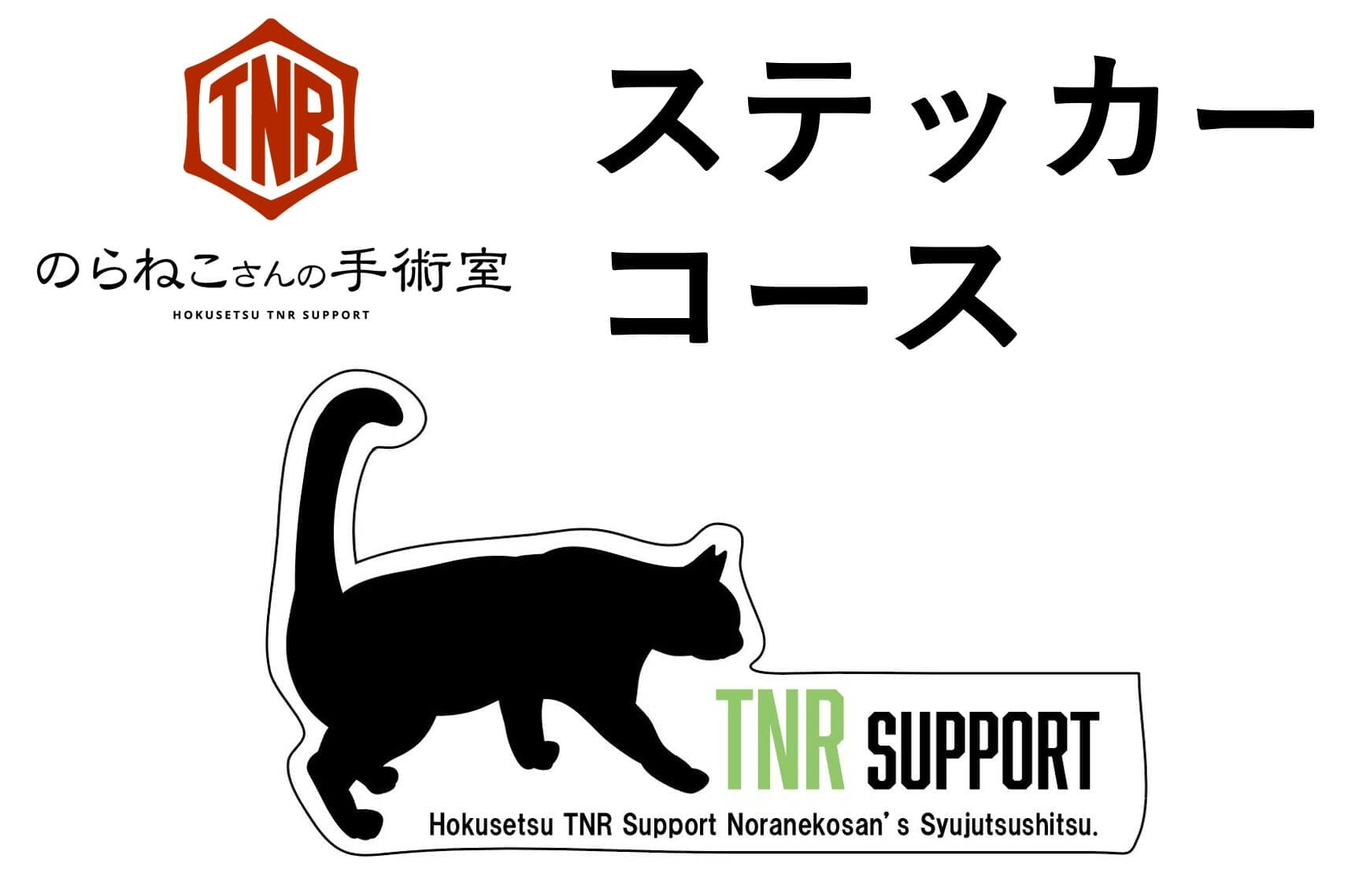 のらねこさんの手術室にレントゲン設備を導入し、手厚い診察を提供 ...