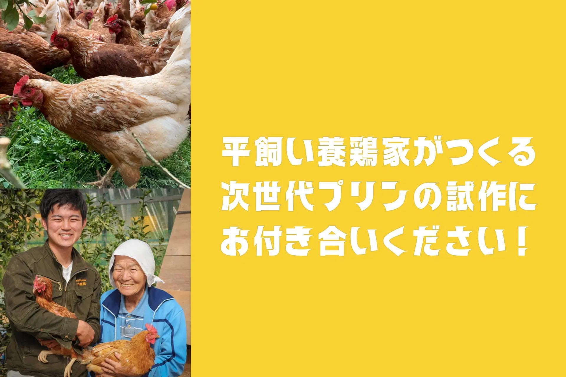 クラウドファンディングでプリンを販売