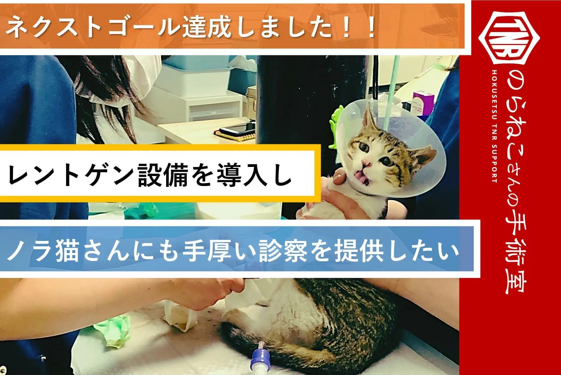 クラウドファンディングで社会問題解決12