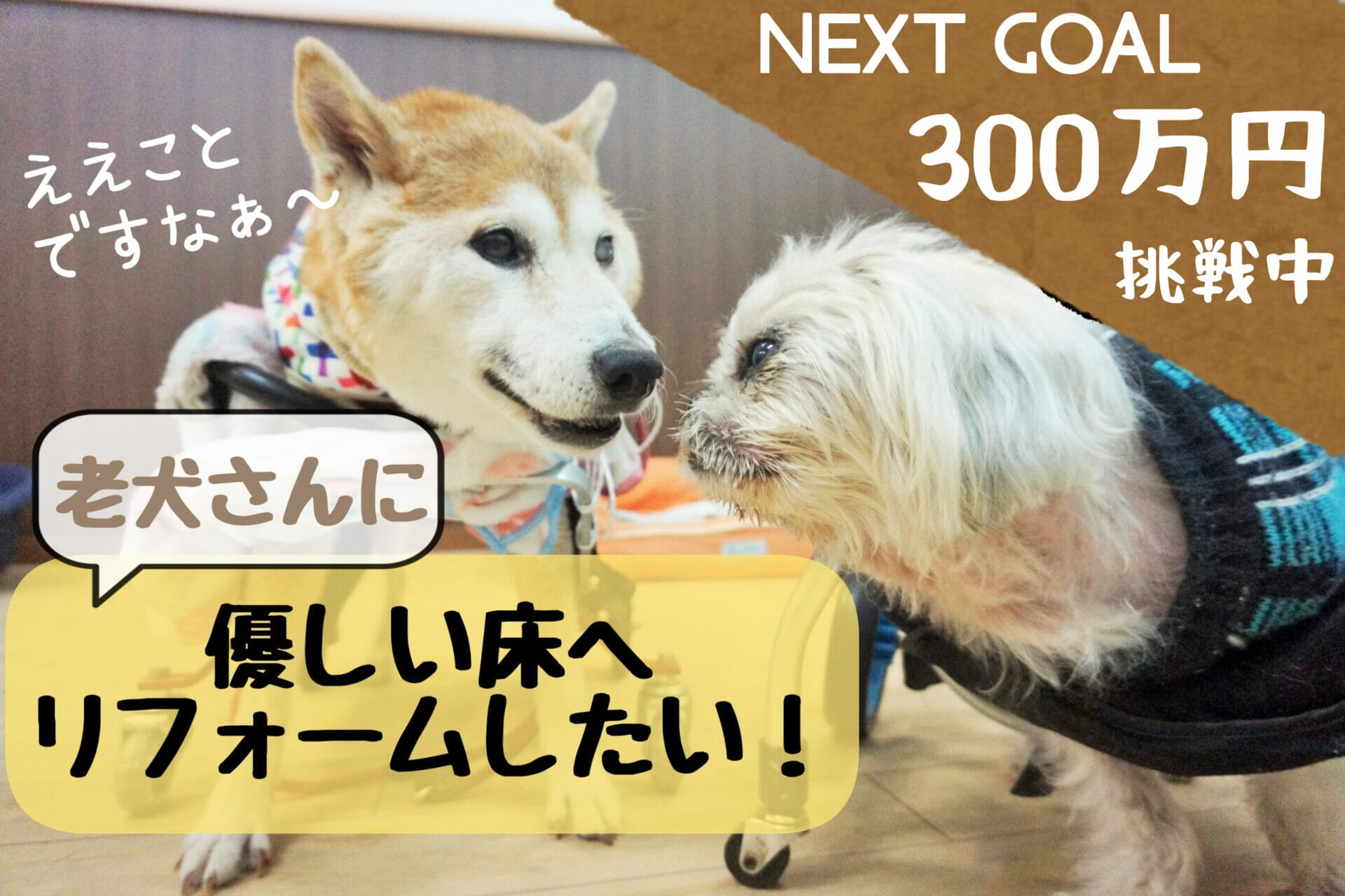 無料デイサービスの老犬さん達の為、優しい床に張り替えたい！！