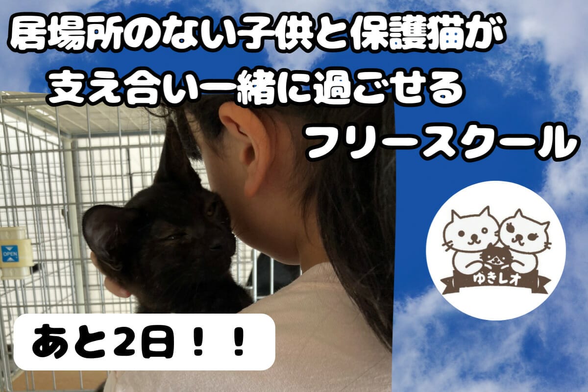 不登校・心のケアが必要な子供達と保護猫が一緒に過ごせるフリー