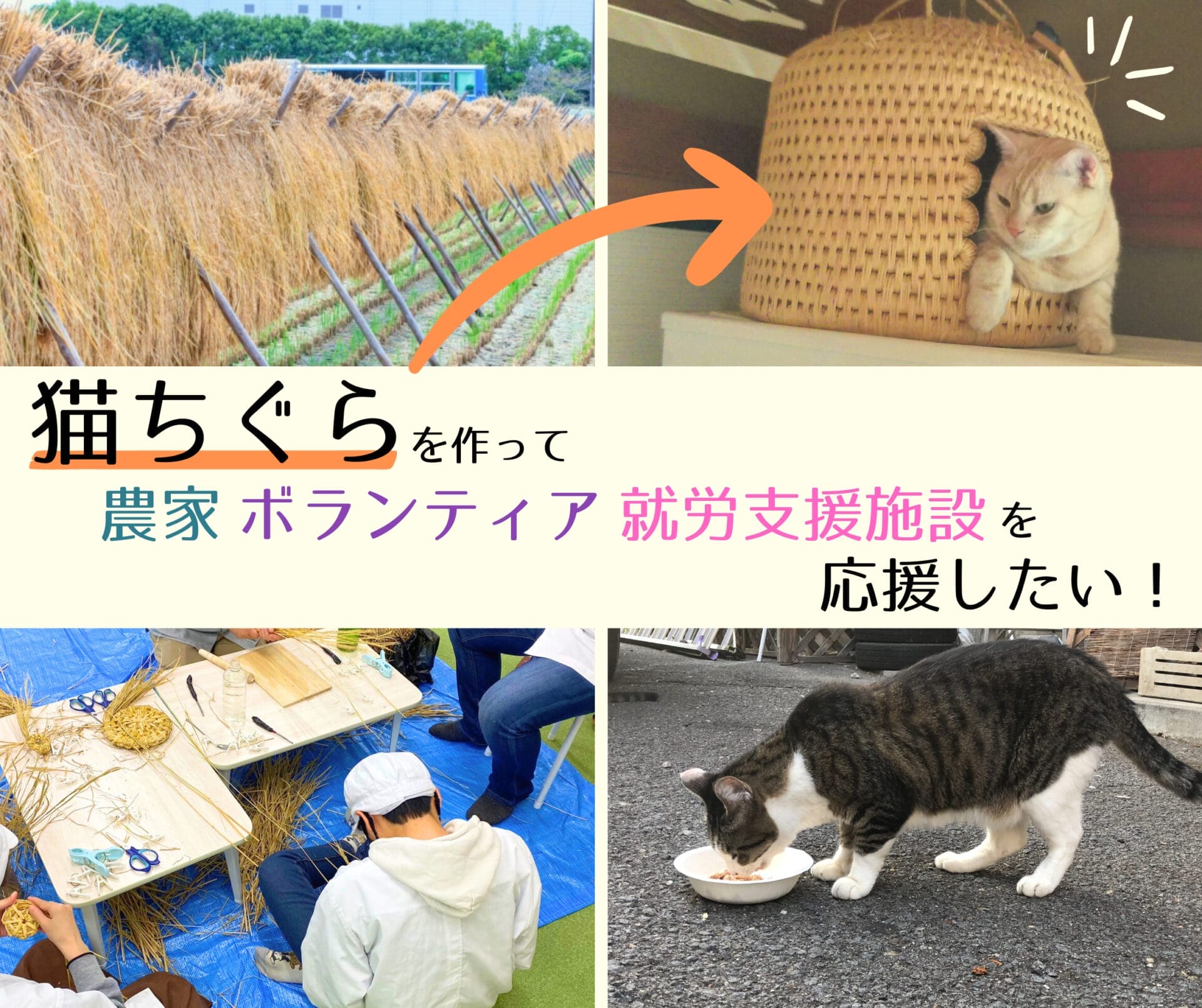 猫ちぐらで動物保護をサポート！持続可能なチャリティプログラムを実現