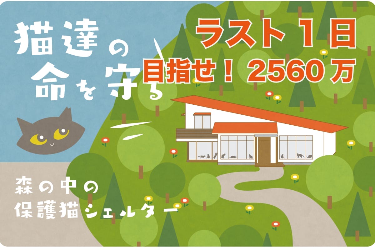 国内配送】 12月24日まで ぽこにゃん様専用 3点