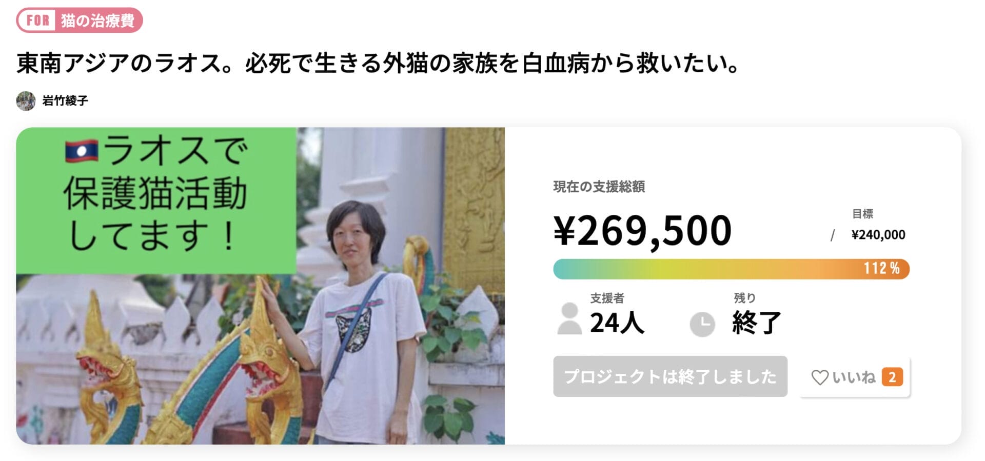 保護猫の治療費を集めるクラウドファンディング
