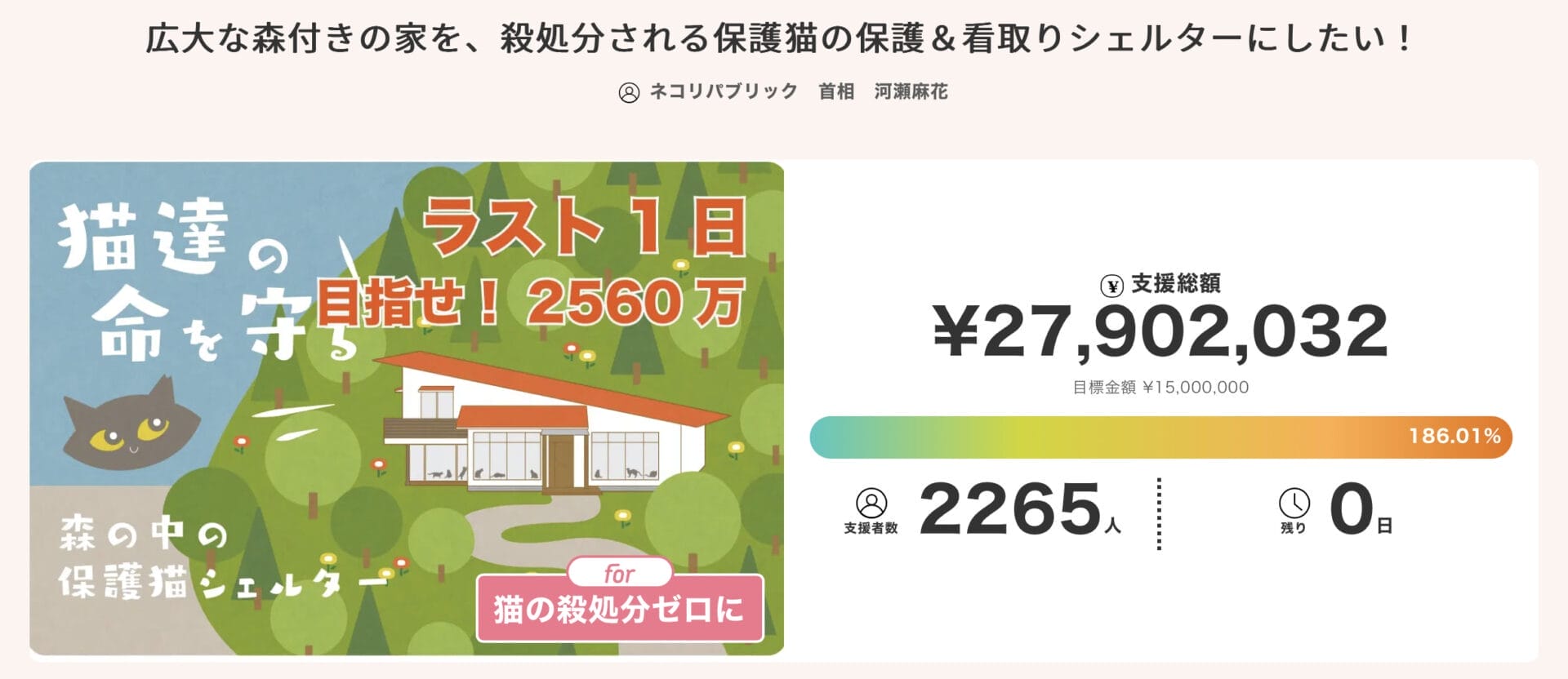 保護猫　シェルター